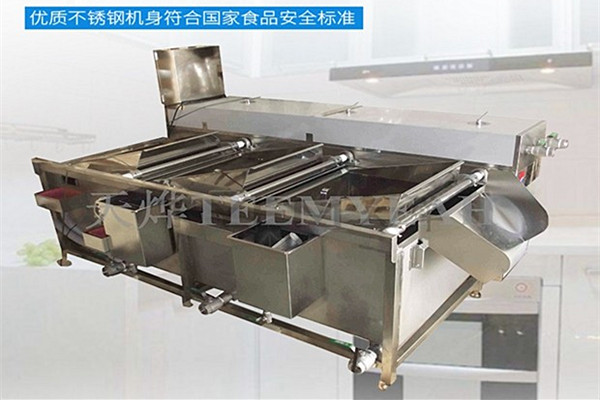 常見的洗菜機有哪些種類